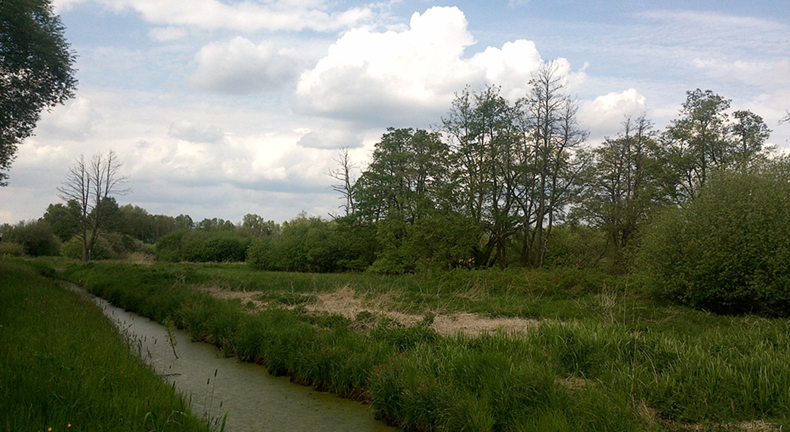 Hagenburger Moor